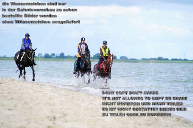 s_K3F05084.JPG